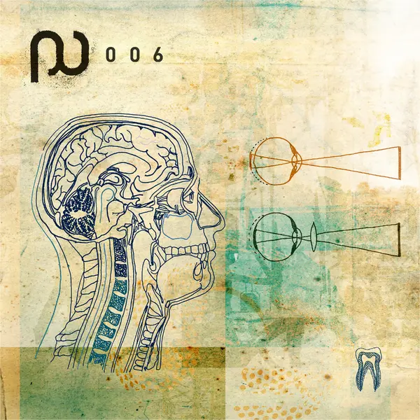 Planet Seal / Yodayoga